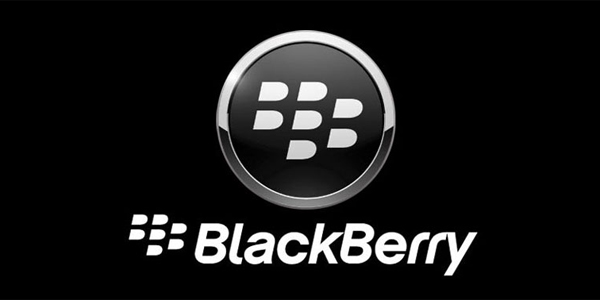 Blackberry Wireless Survey